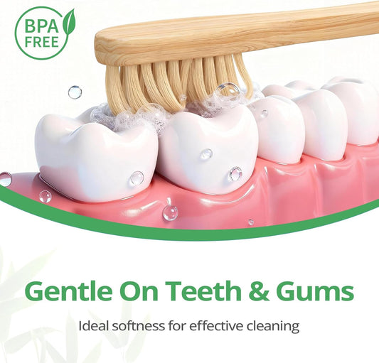 Bamboo Toothbrushes 12 Pack Natural Toothbrushes BPA Free Soft Bristles Toothbrush Eco Friendly Charcoal Toothbrush